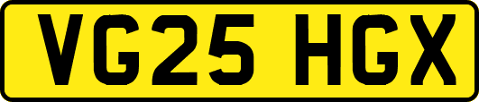 VG25HGX