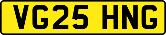 VG25HNG