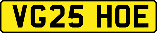 VG25HOE