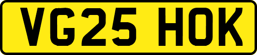 VG25HOK