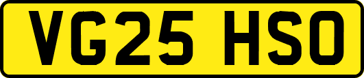 VG25HSO