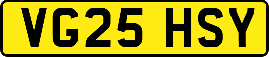 VG25HSY