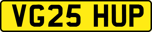 VG25HUP