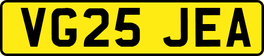 VG25JEA