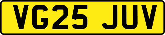 VG25JUV