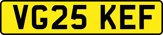 VG25KEF