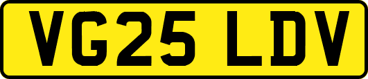 VG25LDV