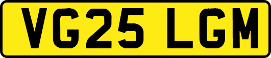 VG25LGM