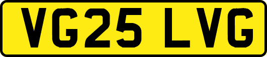 VG25LVG