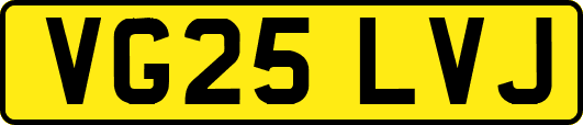 VG25LVJ