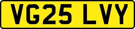 VG25LVY