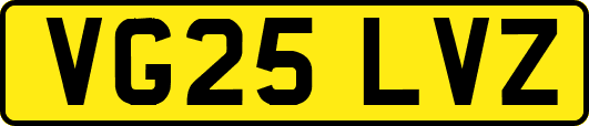 VG25LVZ