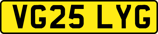 VG25LYG