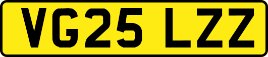 VG25LZZ