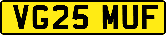 VG25MUF
