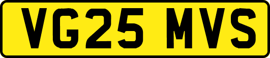 VG25MVS