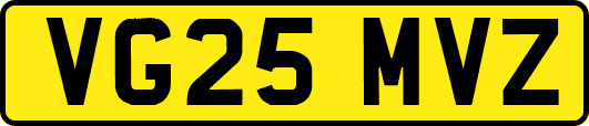 VG25MVZ