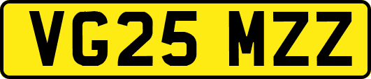 VG25MZZ