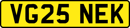 VG25NEK