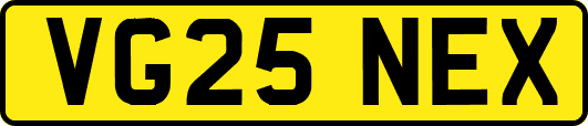 VG25NEX