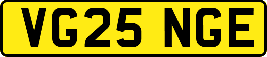 VG25NGE