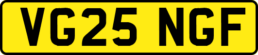 VG25NGF