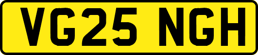 VG25NGH