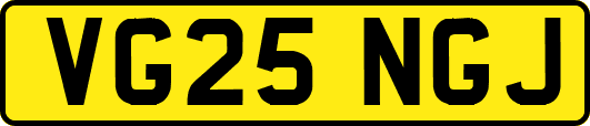VG25NGJ