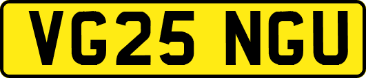VG25NGU