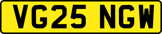 VG25NGW