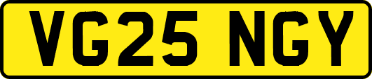 VG25NGY