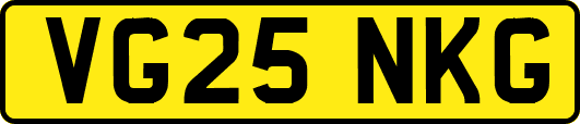 VG25NKG