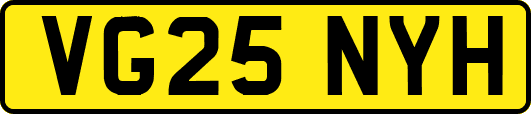 VG25NYH