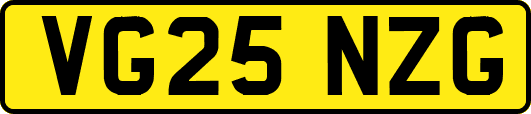 VG25NZG