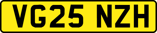 VG25NZH