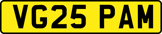 VG25PAM