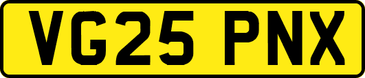 VG25PNX