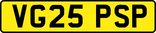 VG25PSP