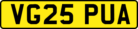VG25PUA