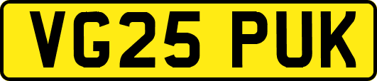 VG25PUK