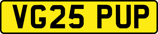 VG25PUP