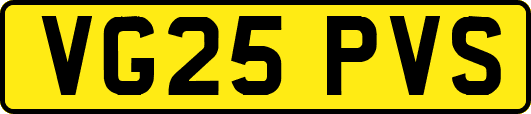 VG25PVS