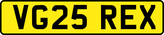 VG25REX