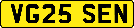 VG25SEN