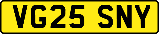 VG25SNY