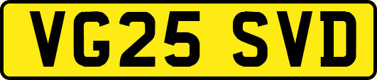 VG25SVD