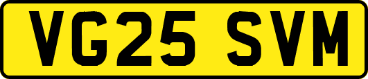 VG25SVM