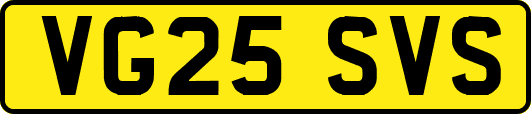 VG25SVS