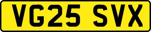 VG25SVX