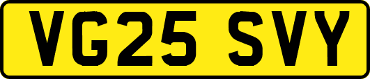 VG25SVY
